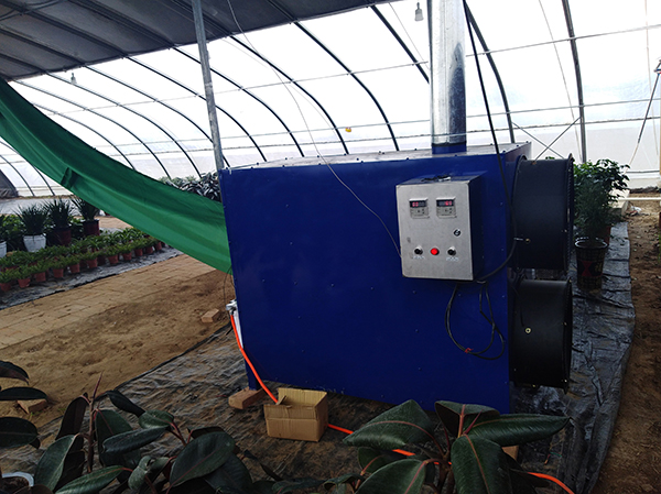 大棚自动放风机的使用有利于提高果蔬品质